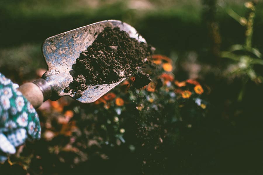 Using Cardboard in gardening blog image with a trowel digging in soil. Photo by Lisa Fotios: https://www.pexels.com/photo/person-digging-on-soil-using-garden-shovel-1301856/