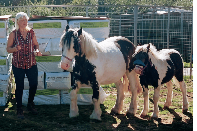 Image of Val Phillips with two recue ponies